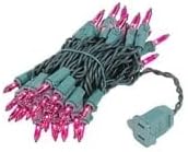 Novelty Lights 11 Feet 50 Bulbs Green Wire Purple Incandescent Mini Lights
