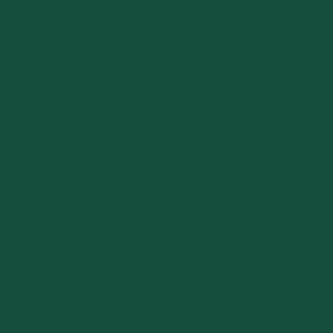 Comfort Classics Set of 2 Sunbrella Outdoor/Indoor Throw Pillows Inc. (Forest Green)