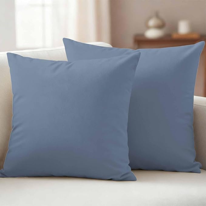 Outdoor Pillow Covers 24 x 24 Inches, Blue Pure Color Waterproof Throw Pillow Cover Set of 2, Aesthetics Contemporary Luxury Decorative Square Cushion Covers for Patio/Couch/Garden