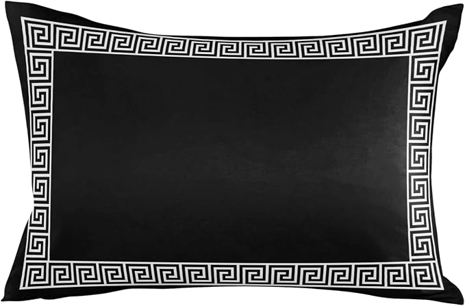 Outdoor Throw Pillow Cover Simple Geometry Greek Art Waterproof Cushion Covers 2 Pack Classic Greece Black White Pillow Cases Home Decoration for Patio Garden Couch Sofa