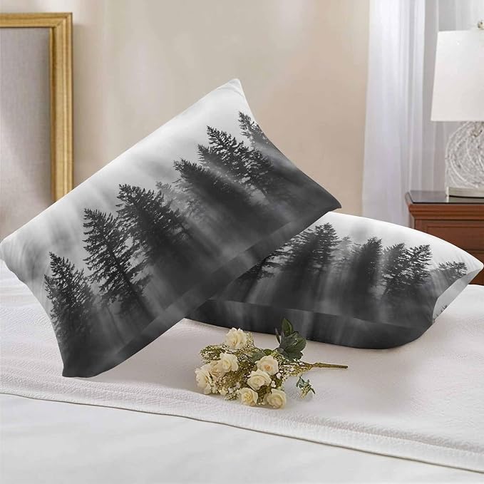 Black Forest Mist Scenery Outdoor Pillow Covers 20"x12" Set of 2, Nature Pine Trees Sunbeams Modern Waterproof Throw Pillow Covers for Patio Furniture, Decorative Cushion Covers for Porch