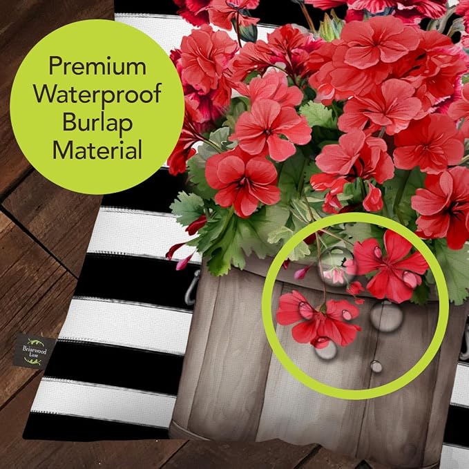 Briarwood Lane Striped Geraniums Indoor/Outdoor Pillow