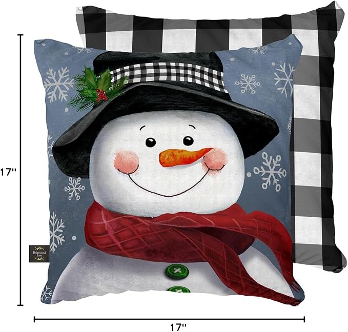 Briarwood Lane Winter Indoor/Outdoor Pillow 17x17 Smiling Snowman for Winter Pillow
