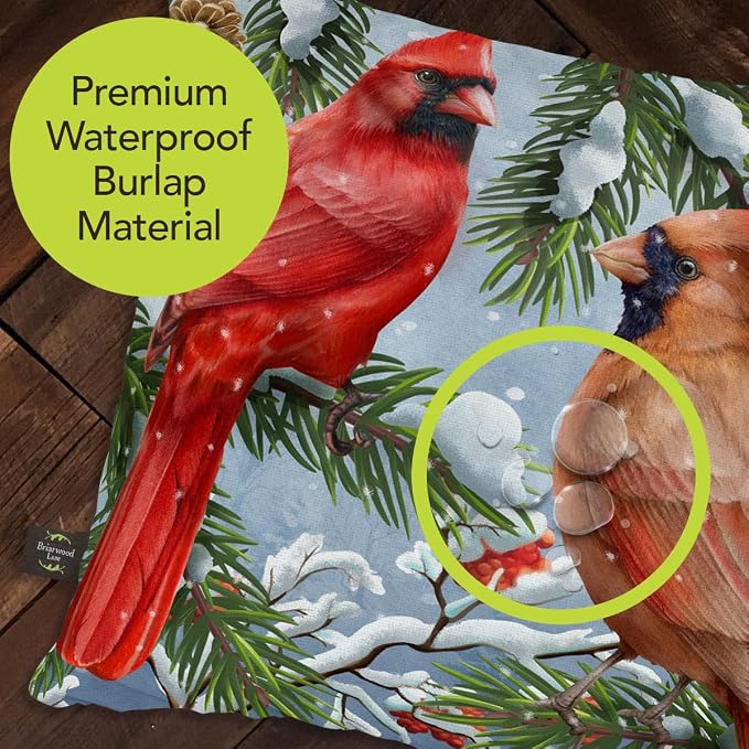 Briarwood Lane Winter Indoor/Outdoor Pillow 17x17 Wintertime Cardinals for Winter Pillow
