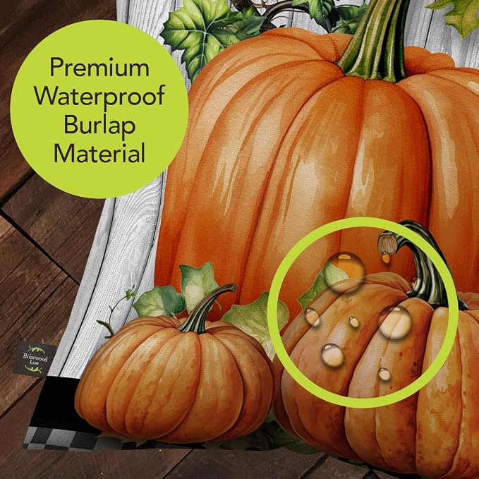Briarwood Lane Fall Indoor/Outdoor Pillow 17x17 Country Farmhouse Pumpkins for Fall Pillow