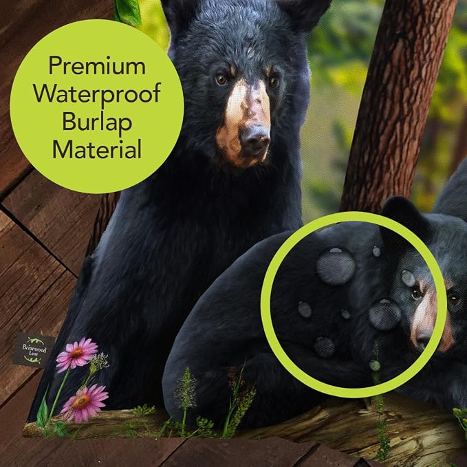 Briarwood Lane Summer Indoor/Outdoor Pillow 17x17 Black Bear Family for Summer Pillow