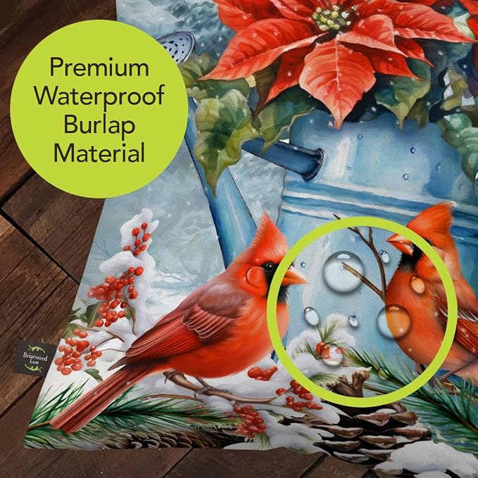 Briarwood Lane Winter Indoor/Outdoor Pillow 17x17 Winter Watering Can for Winter Pillow