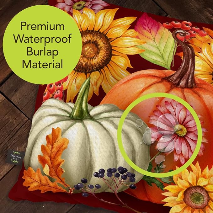 Briarwood Lane Fall Indoor/Outdoor Pillow 17x17 Fall Beauty for Fall Pillow