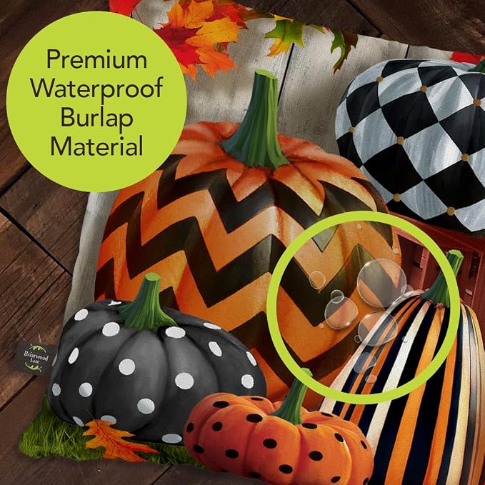 Briarwood Lane Fall Indoor/Outdoor Pillow 17x17 Patterned Pumpkins for Fall Pillow