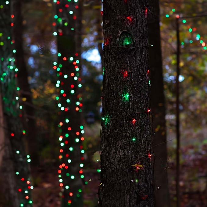 TW SHINE Christmas Mini String Lights, 20FT 100 Count Incandescent Mini Christmas Tree Lights, Waterproof Xmas String Lights for Outdoor Indoor Home Party Yard Decorations, Red and Green