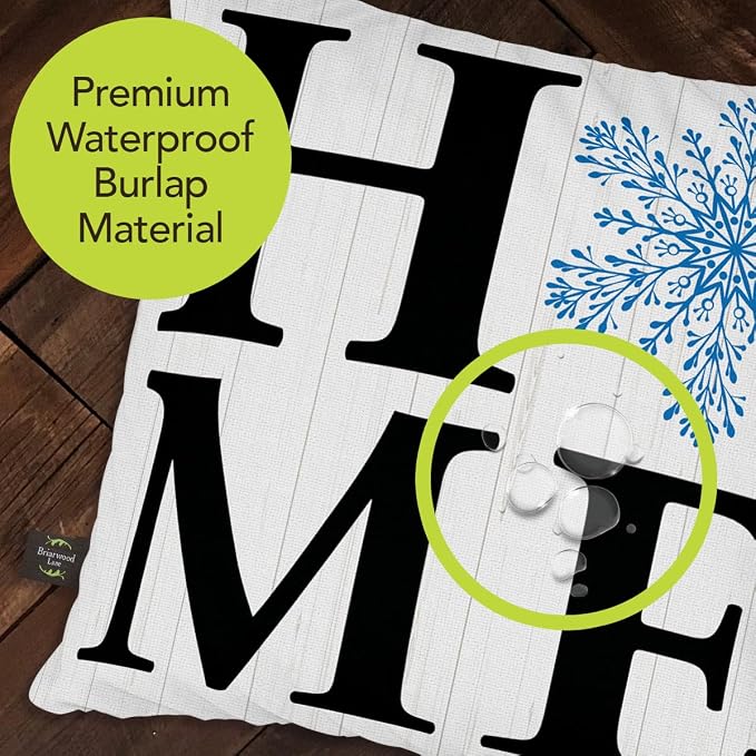 Briarwood Lane Winter Indoor/Outdoor Pillow 17x17 Snowflake Home for Winter Pillow
