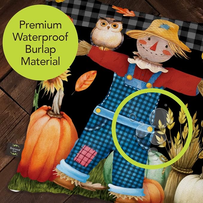 Briarwood Lane Fall Indoor/Outdoor Pillow 17x17 Friendly Scarecrow for Fall Pillow