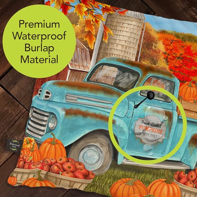 Briarwood Lane Fall Indoor/Outdoor Pillow 17x17 Fresh Picked Pumpkins for Fall Pillow