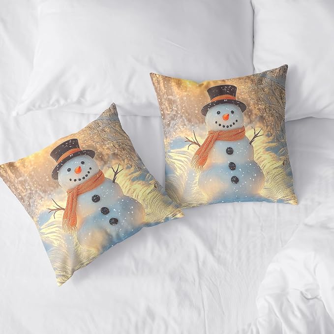 Winter Pillow Covers Snowman in The Sunshine Throw Pillow Covers 24x24 Snowflakes Pillow Case Double Sided Printing Cushion Case for Home Decor Couch Sofa Set of 2