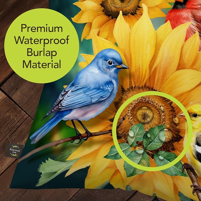 Briarwood Lane Summer Indoor/Outdoor Pillow 17x17 Birds in the Garden for Summer Pillow