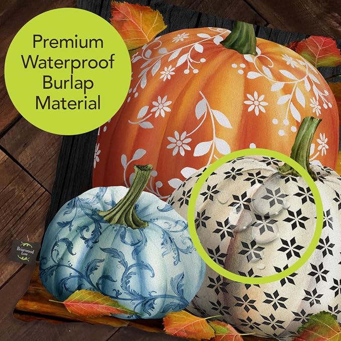 Briarwood Lane Fall Indoor/Outdoor Pillow 17x17 Elegant Pumpkins for Fall Pillow