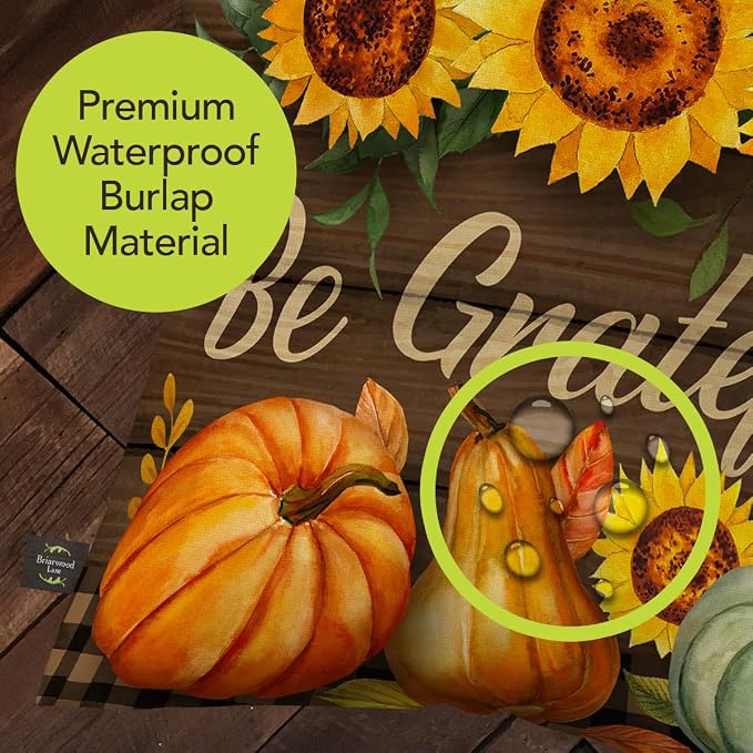 Briarwood Lane Indoor/Outdoor Pillow 17x17 Be Grateful Fall for Fall Pillow