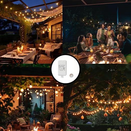 Class 2 Power Supply for Permanent Outdoor Lights, 24V 1A 24W Power Adapter | LED Transformer Replacement and Suitable for Permanent Outdoor Lighting Within 33ft(10m)