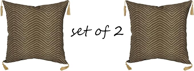 Comfort Classics Outdoor/Indoor Zebra Square Outdoor Throw Pillow with Tassels (Set of 2) 16x16x4