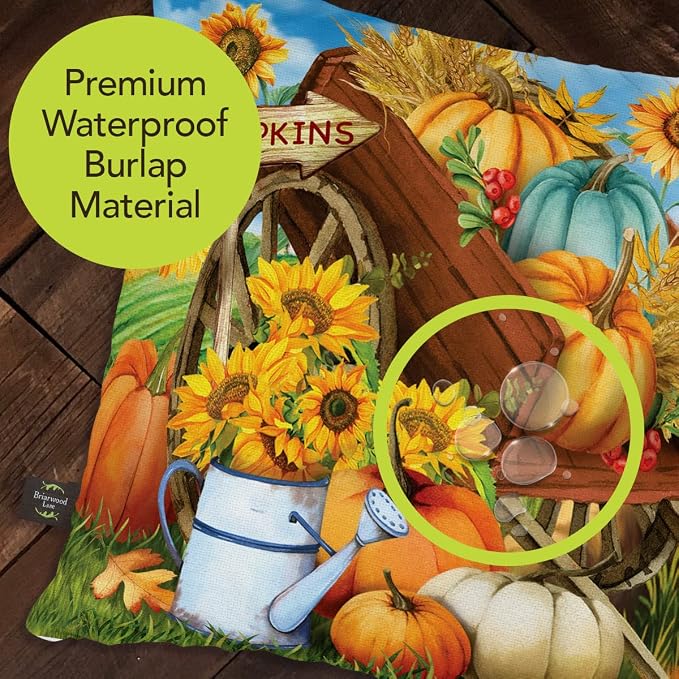 Briarwood Lane Fall Indoor/Outdoor Pillow 17x17 Pumpkin Cart for Fall Pillow