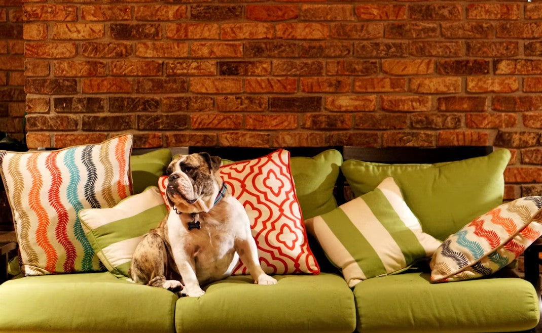 How to Add Color to Your Patio with Furniture and Cushions