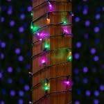Novelty Lights 50ft 100 LED Yellow, Purple & Green Mardi Gras Lights