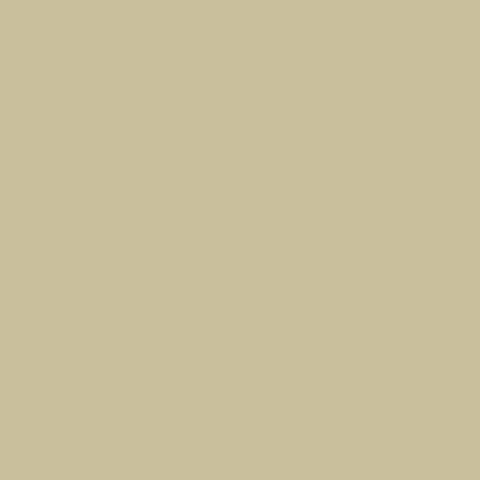 Comfort Classics Set of 2 Sunbrella Outdoor/Indoor Throw Pillows Inc. (Antique Beige)
