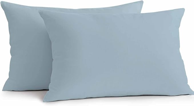 Sky Blue Outdoor Pillow Covers 20x12 Inch Lumbar Pillow Covers Set of 2 Waterproof Decorative Throw Pillow Cases Modern Pure Winter Sky Blue Cushion Covers for Patio Furniture Garden Couch Sofa