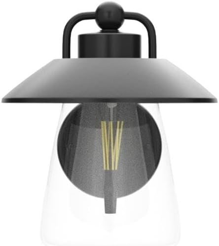 LUTEC Outdoor Indoor Wall Lantern, Farmhouse Barn Wall Sconce Lighting Fixture,Matte Black Finish Anti-Rust Wall Mount Light, Waterproof Wall lamp with Clear Glass for Porch, Exterior, Patio