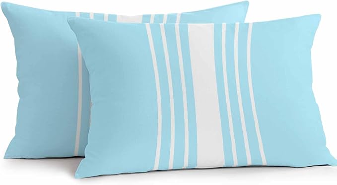 Aqua White Stripe Outdoor Pillow Covers 20x12 Inch Lumbar Pillow Covers Set of 2 Waterproof Decorative Throw Pillow Cases Modern Rustic Vertical Striped Cushion Covers for Patio Furniture Garden Couch