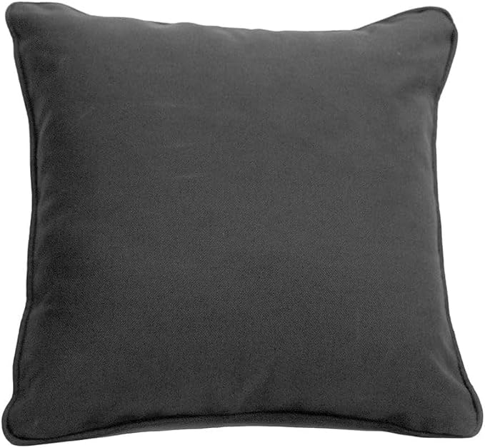 East Green 18 x 18 Square Outdoor Accent Pillow, Set of 2, Black