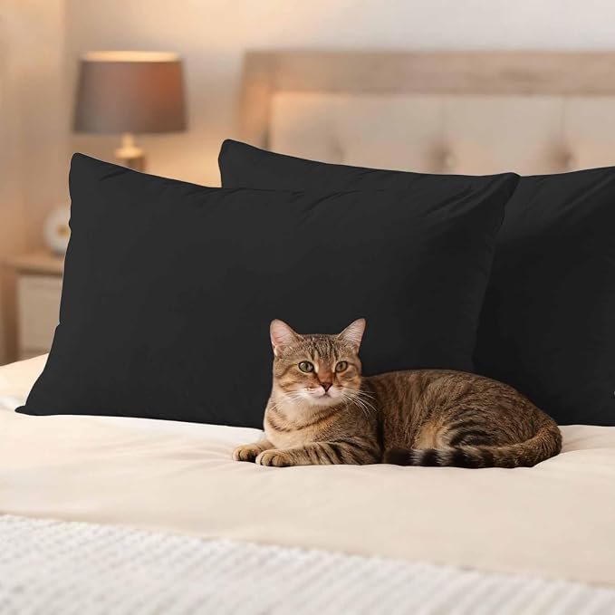 Lumbar Pillow Covers 12 x 20 Inches, Black Pure Color Waterproof Throw Pillow Cover Set of 2, Aesthetics Contemporary Luxury Decorative Rectangle Cushion Covers for Patio/Couch/Garden