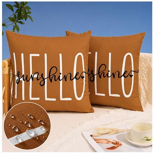 DFXSZ Rust Outdoor Waterproof Pillow Covers 18x18 Set of 2 | Hello Sunshine Decor Summer Fall Polyester Pillow Covers(NO INSERTS)| Decor for Patio Funiture Garden Sofa Couch