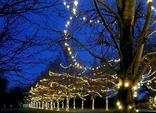 Novelty Lights 12-Pack CASE 50ft 100 LED Warm White Christmas String Lights, 6" Spacing on Brown Wire, UL Listed IP55 Commercial Grade Xmas Lights for Outdoor/Indoor, Dimmable, Connectable
