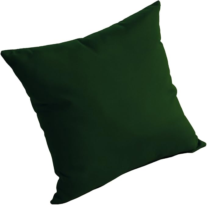 Comfort Classics Sunbrella Outdoor/Indoor Throw Pillow in Forest Green Inc.
