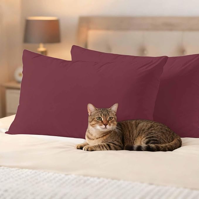 Lumbar Pillow Covers 12 x 20 Inches, Red Solid Color Waterproof Throw Pillow Cover Set of 2, Aesthetics Contemporary Luxury Decorative Rectangle Cushion Covers for Patio/Couch/Garden