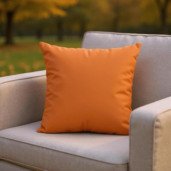 RSH DECOR: Sunbrella Square Throw Pillows Set of 2 | 24" x 24" | Water and Fade-Resistant Performance Fabric | Outdoor Pillow Covers with Down-Alternative Inserts | Canvas Tuscan