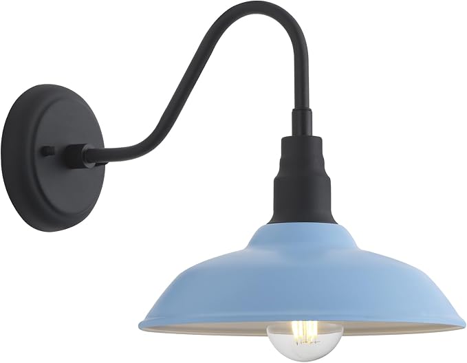 10 Inch Dome Gooseneck Barrn Light Outdoor, Baby Blue Goose Neck Farmhouse Outdoor Lights Fixture, Barn Style Exterior Wall Lighting Fixtures for Garage, Porch, Entryway