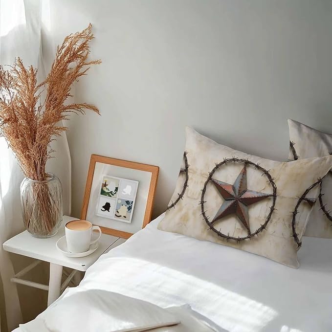 Texas Star Vintage Waterproof Outdoor Pillow Covers Set of 2 Home Decor, Abstract Country Stars Modern Pillowcase Patio Pillow Covers for Couch Bench Furniture Garden 20x12in
