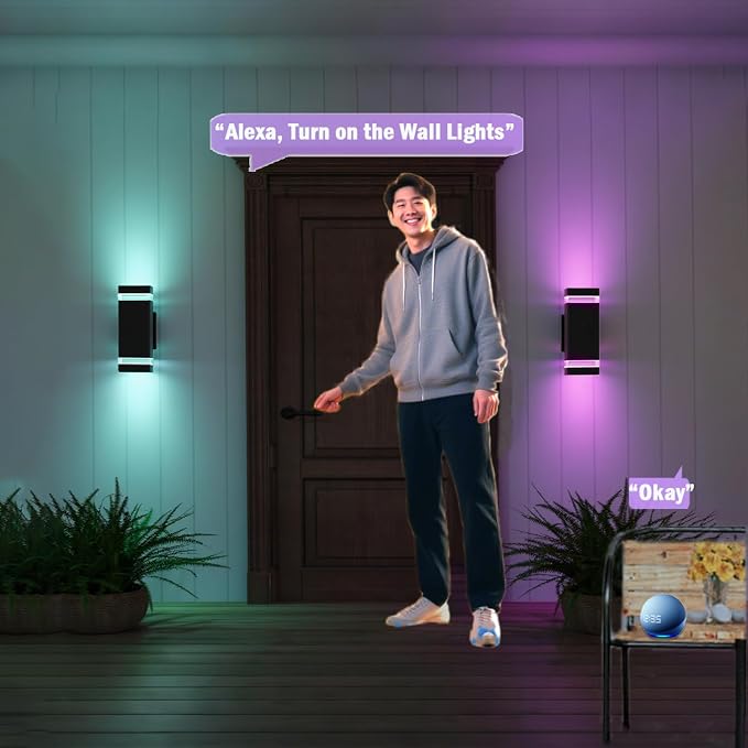 Up Down Outdoor Wall Lights Sconce, Remote Control RGB Color Changing LED Porch Lights Outdoor Wall Mounted, Black Exterior Lights for Garage, Balcony, Front Door - ETL Listed