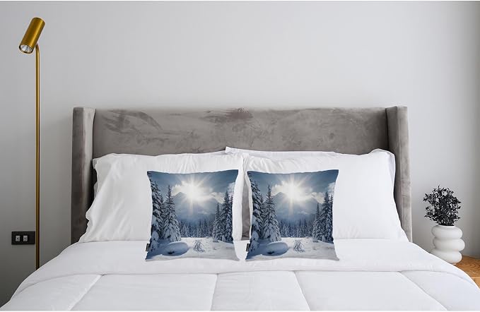 Swono Winter Landscape Throw Pillow Cases, Nature Snowy Mountain Fir Trees Sunshine Set of 2 Decorative Throw Pillow Cover, Square Pillow Cushion Case Home Decor for Sofa Couch Bed Car 18x18 Inches