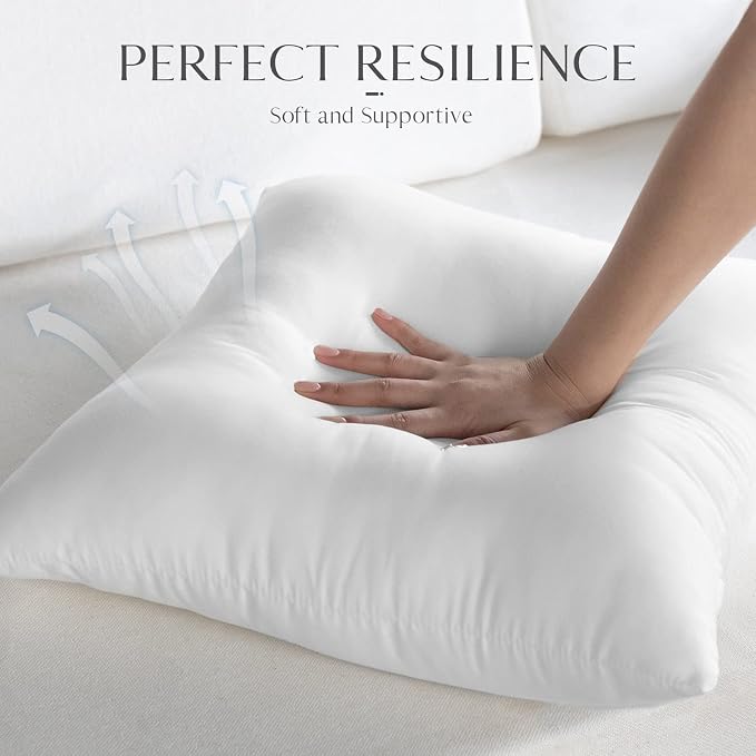 Ashler 20 x 20 Outdoor Pillows, Waterproof Inserts Set of 4 Water Resistant | Throw Pillow Inserts, Hypoallergenic Pillows, For Patio, Bench, Garden, Indoor Outdoor Summer Decorative