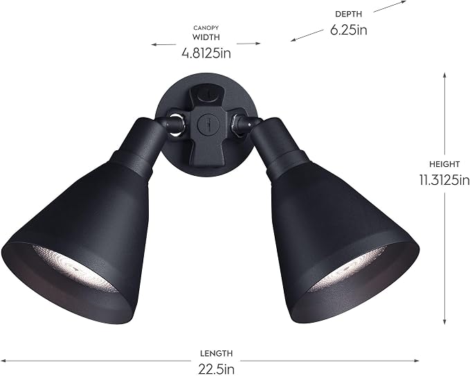Progress Lighting 2-Light Adjustable Swivel Flood Light, Outdoor, P5203-31, Black