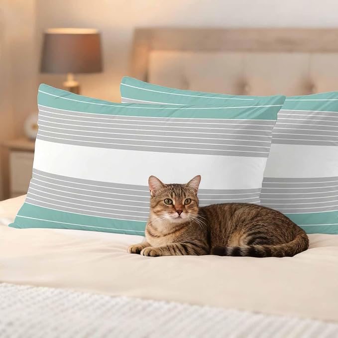 Turquoise Grey Stripe Outdoor Pillow Covers Set of 2 Gradient Line Waterproof Throw Pillow Cover Decorative Cushion Cases for Patio Porch Garden 20X12 Inch