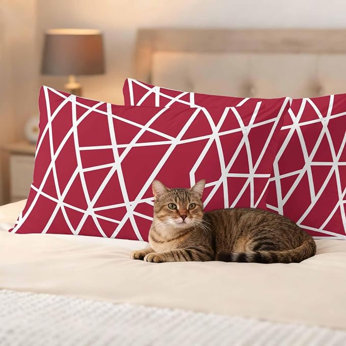 Outdoor Pillow Covers Waterproof, Red Geometric Decorative Rectangle Throw Pillowcases Patio Cushion Covers for Tent/Garden, 20" x 12" 2 Pack, Abstract Stripes Modern Minimalist