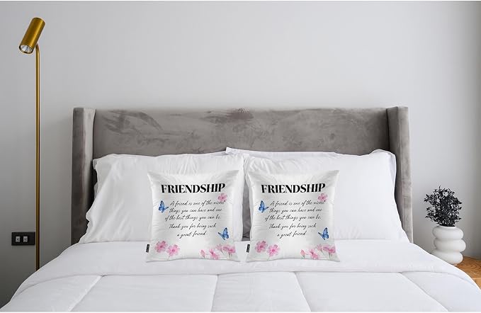Swono Set of 2 Friendship Pillow Covers 18 X 18 Inch, A Friend is One of The Nicest Things Square Decorative Throw Pillow Covers for Sofa Couch Bed, Outdoor Indoor Pillowcase Cushion Cover