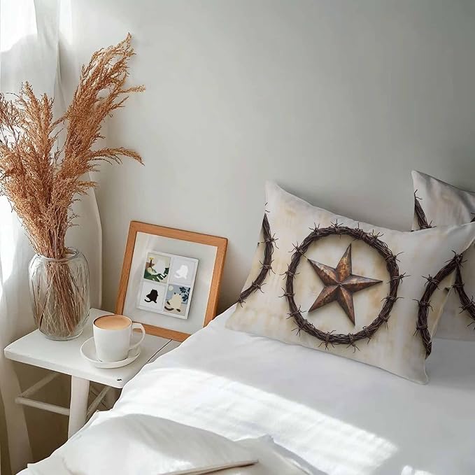 Texas Star Rustic Waterproof Outdoor Pillow Covers Set of 2 Home Decor, Vintage Country Stars Modern Abstract Pillowcase Patio Pillow Covers for Couch Bench Furniture Garden 20x12in