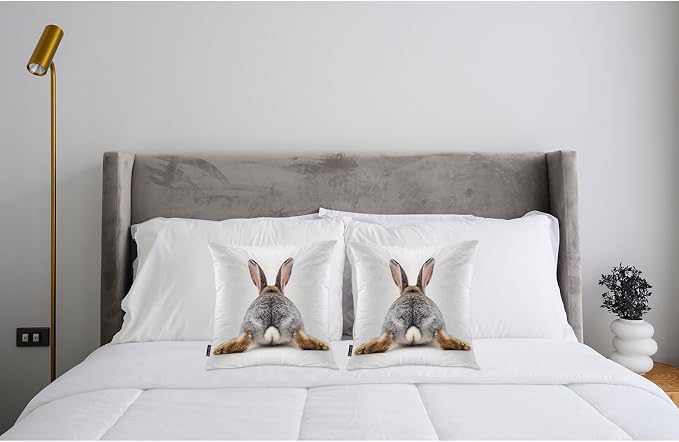 Swono Rabbit Square Pillow Covers Cushion Covers, Funny Bunny Tail 18 X 18 Inch Set of 2 Throw Pillow Cover Gray Rabbit Pillowcases Home Decorative for Couch Sofa Car Bedroom, No Insert