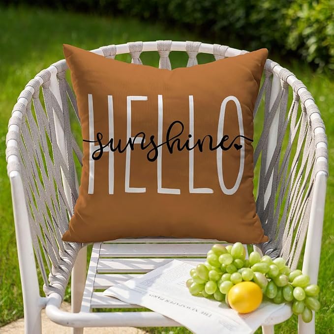DFXSZ Rust Outdoor Waterproof Pillow Covers 18x18 Set of 2 | Hello Sunshine Decor Summer Fall Polyester Pillow Covers(NO INSERTS)| Decor for Patio Funiture Garden Sofa Couch