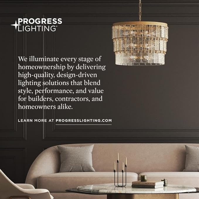 Progress Lighting Mik 14 Inch 1-Light Outdoor Wall Light, Modern Industrial Exterior Light, Antique Bronze Tapered Cone (14 in. H x 8 in. W x 9 in. Dia), P560408-020
